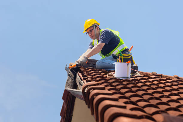 Best Asphalt Shingles Roofing  in Palos Park, IL